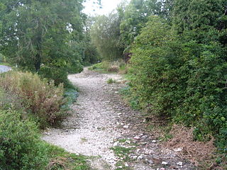 River Lambourn